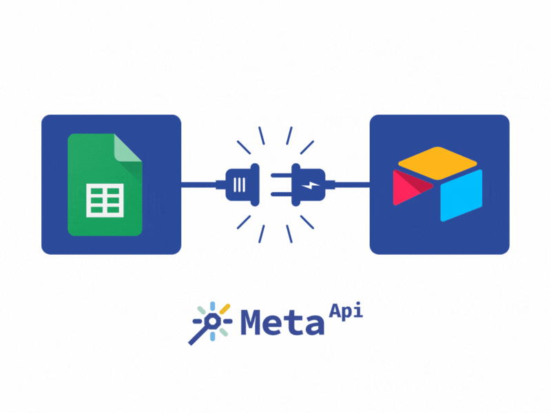 Custom API & Platform Integrations